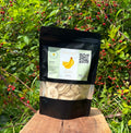 Organic Freeze Dried Bananas